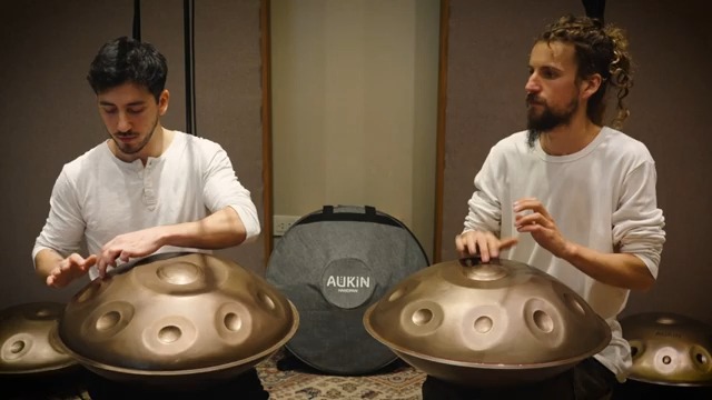 手碟handpan/仅供参考学习