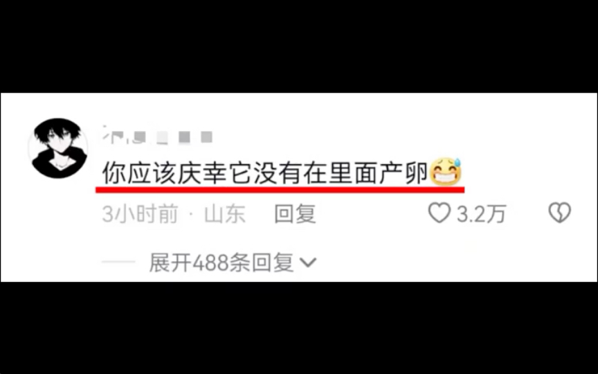 蟑螂这么可怕的吗?没开玩笑吓得尿了两滴哔哩哔哩bilibili