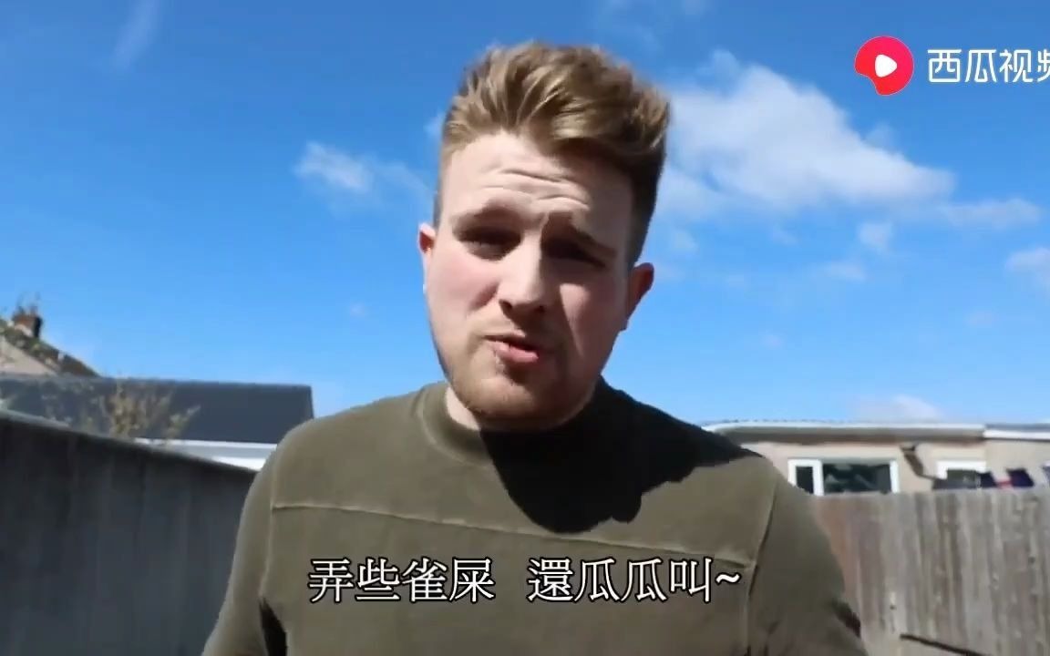 ben的整人计划    满身鸟屎的elliot