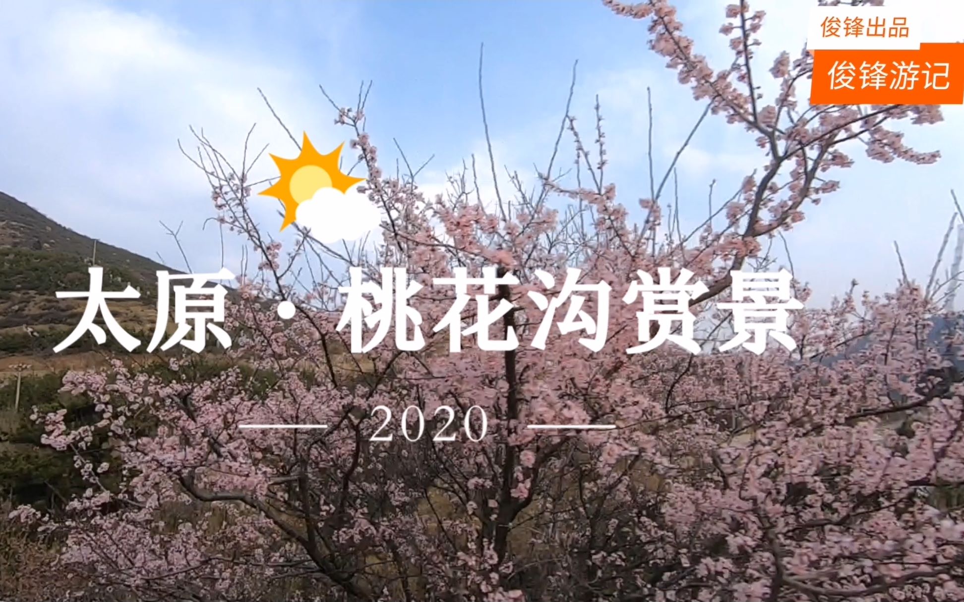 假期最后一天太原桃花沟里赏花海春季打卡拍照圣地丨俊锋游记