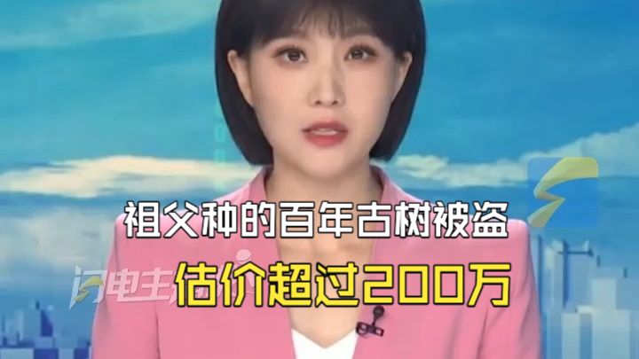 祖父种的百年古树被盗 估价超过200万 警方扣押后竟被林业局偷偷转赠