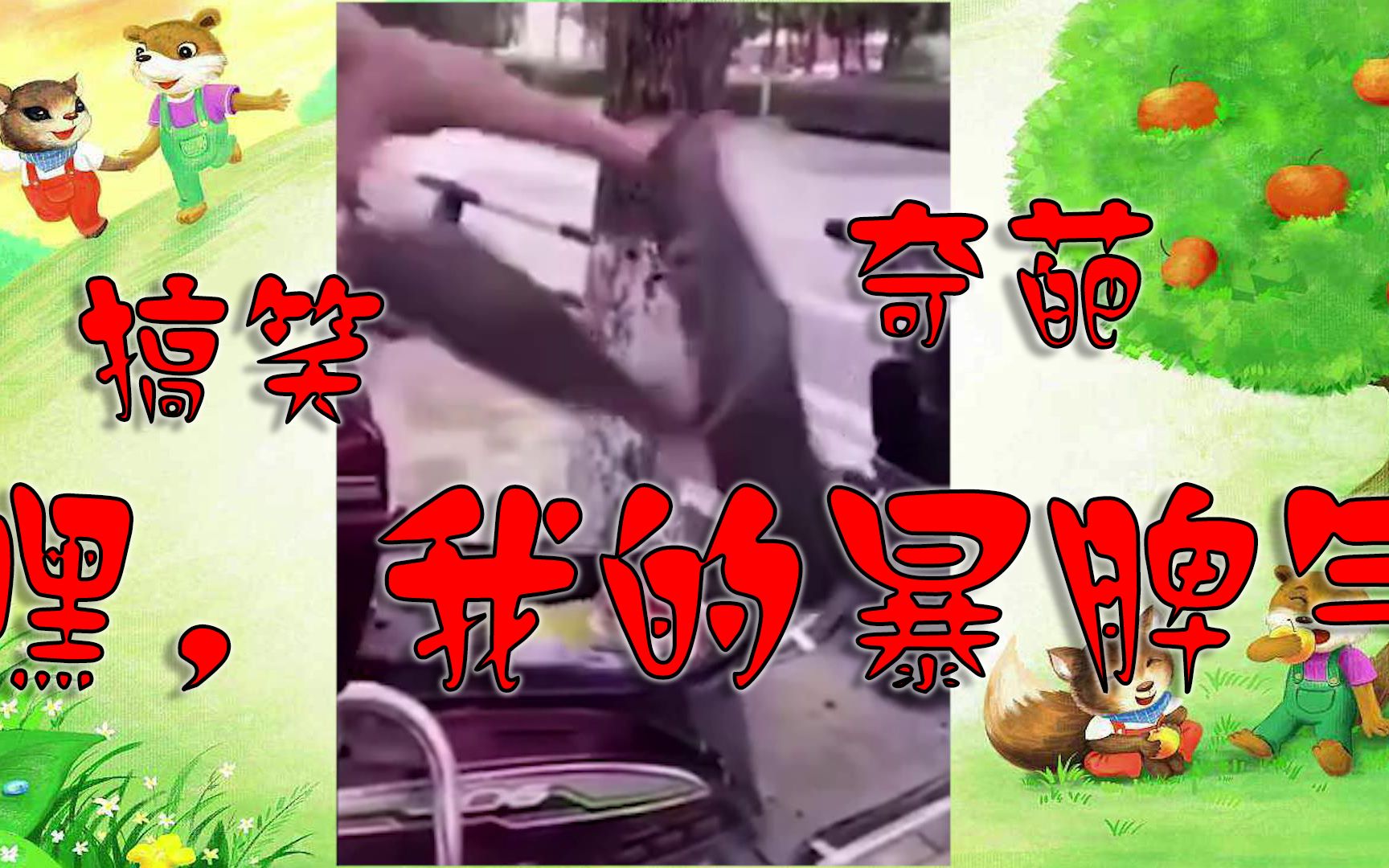 搞笑配音:嘿,我这暴脾气