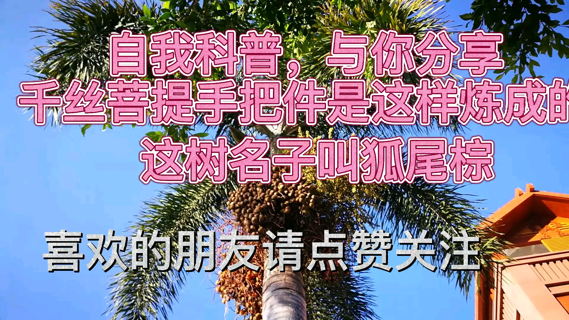 千丝菩提手把件原来是这样炼成的.哔哩哔哩bilibili