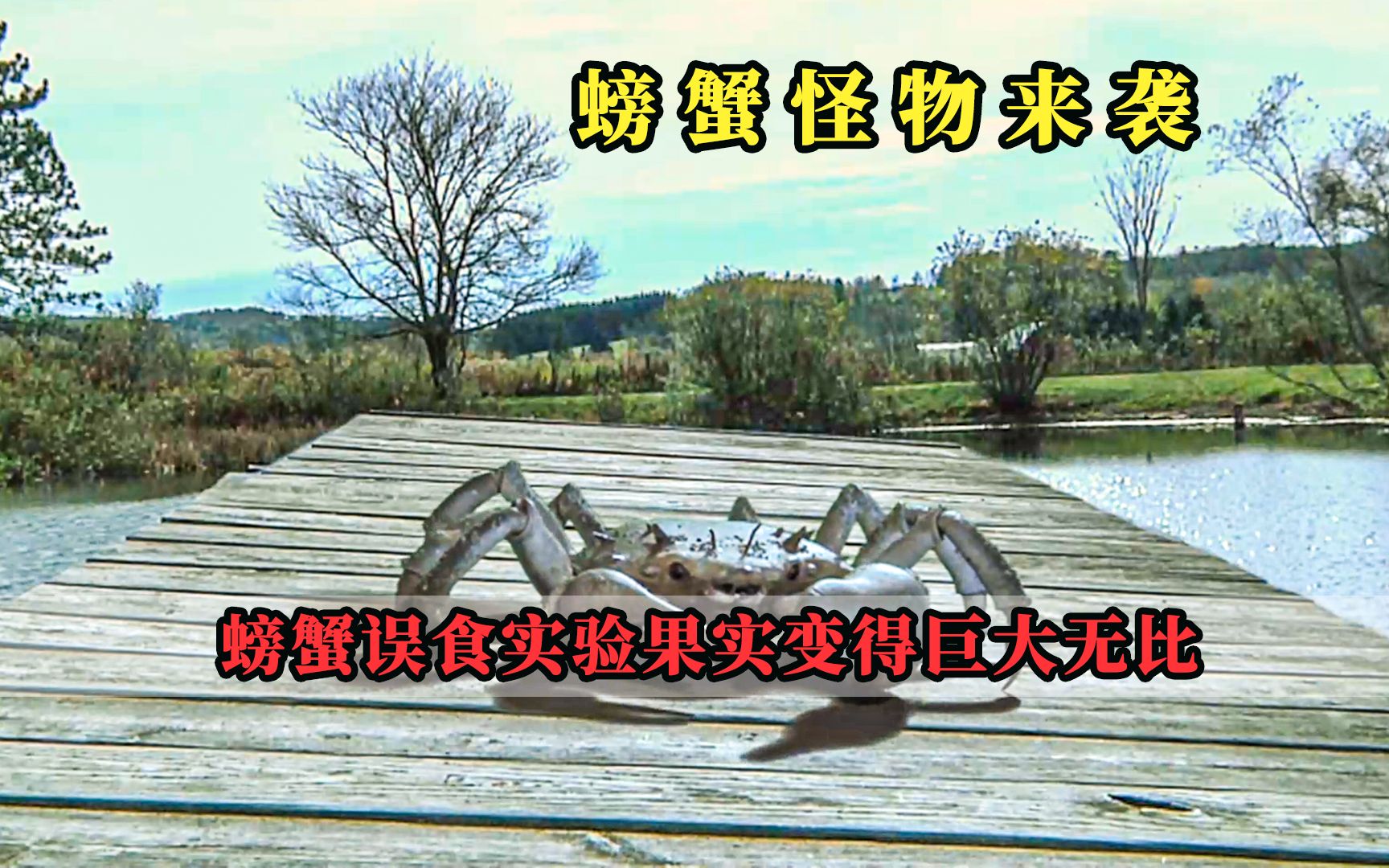 小歌说电影电影解说螃蟹怪物来袭女孩错给螃蟹吃了实验果实导致螃蟹变