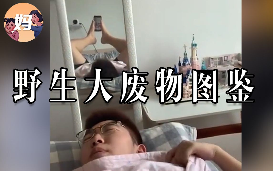 【野生人类图鉴】干啥啥不行,拉跨第一名,爷就是废物!