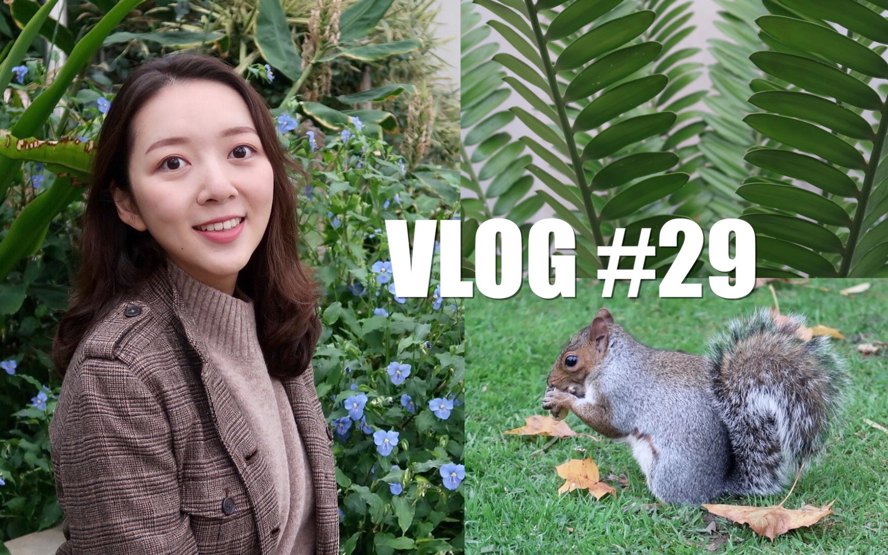 [图]【VLOG29】英国植物园松鼠狂欢季 | 早7点高温瑜伽体验