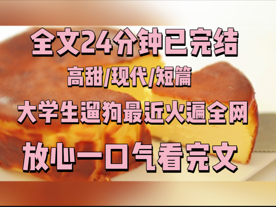 【一更到底】大学生遛狗最近火遍全网哔哩哔哩bilibili