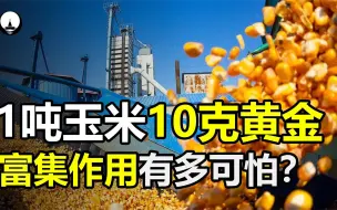 Video herunterladen: 1吨玉米竟能提炼10克黄金，生物的富集作用究竟有多可怕？