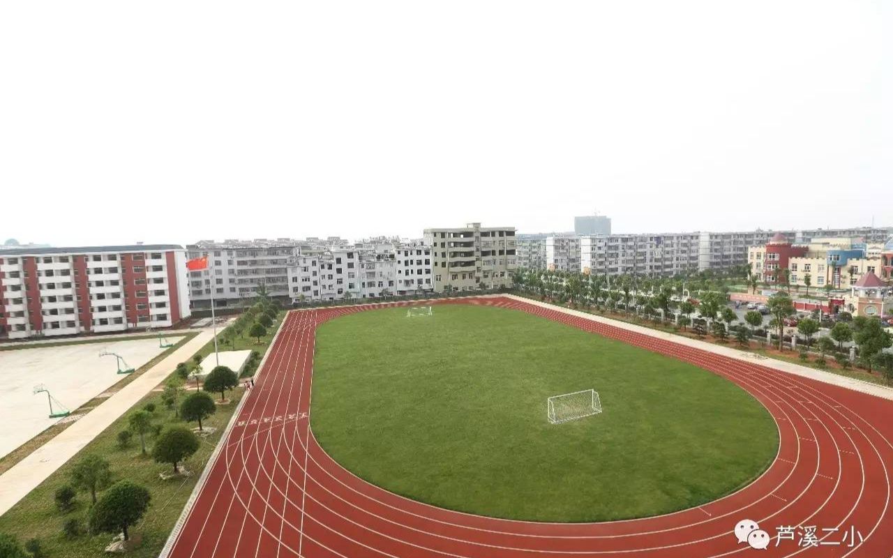 芦溪二小幸福律动室内操