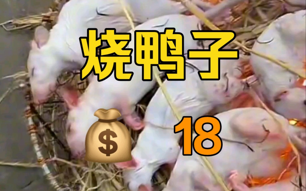 福建特色美食哔哩哔哩bilibili