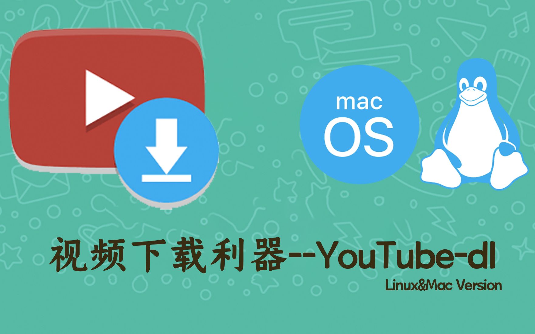 5分钟学会在Mac/Linux上安装视频下载利器“youtubedl”哔哩哔哩bilibili