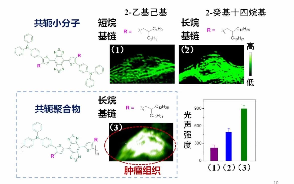 20220930南开大学丁丹生物医用光学功能材料哔哩哔哩bilibili