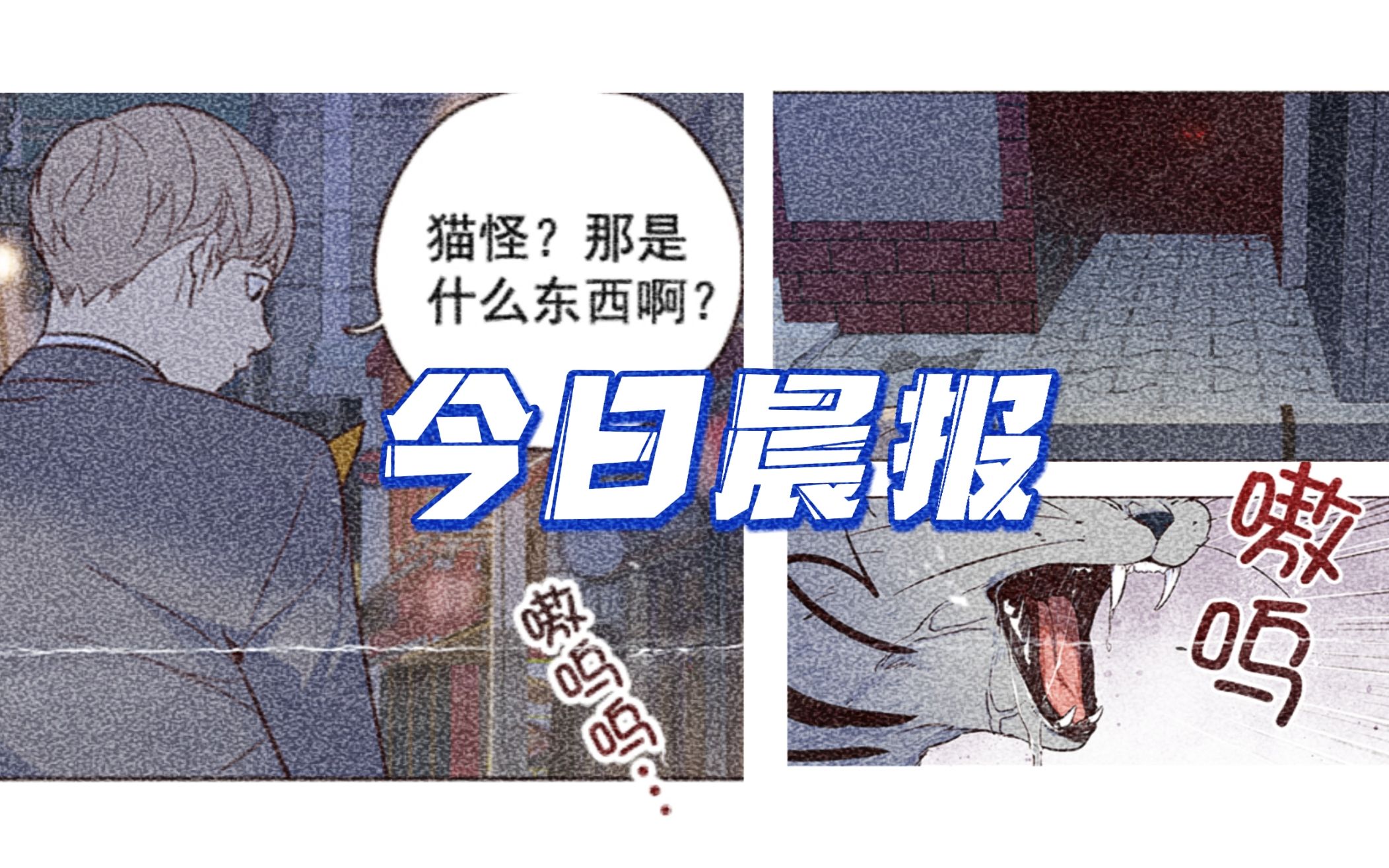 [图]宁静小区惊现猫怪，背后疑有巨大阴谋【动态漫画】《觉醒吧铲屎官》（EP 03）