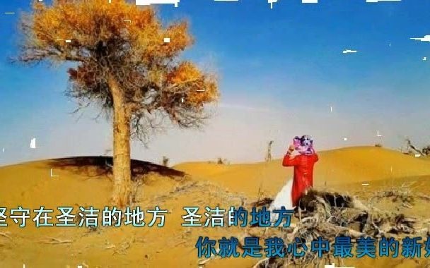 [图]胡杨新娘 - 凤凰传奇，胡杨的沧桑慈祥，教会我们坚强善良