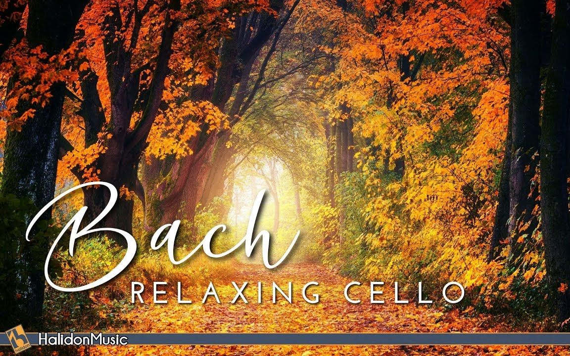 【古典音乐精选】巴赫之大提琴 | Bach  Relaxing Cello Music哔哩哔哩bilibili