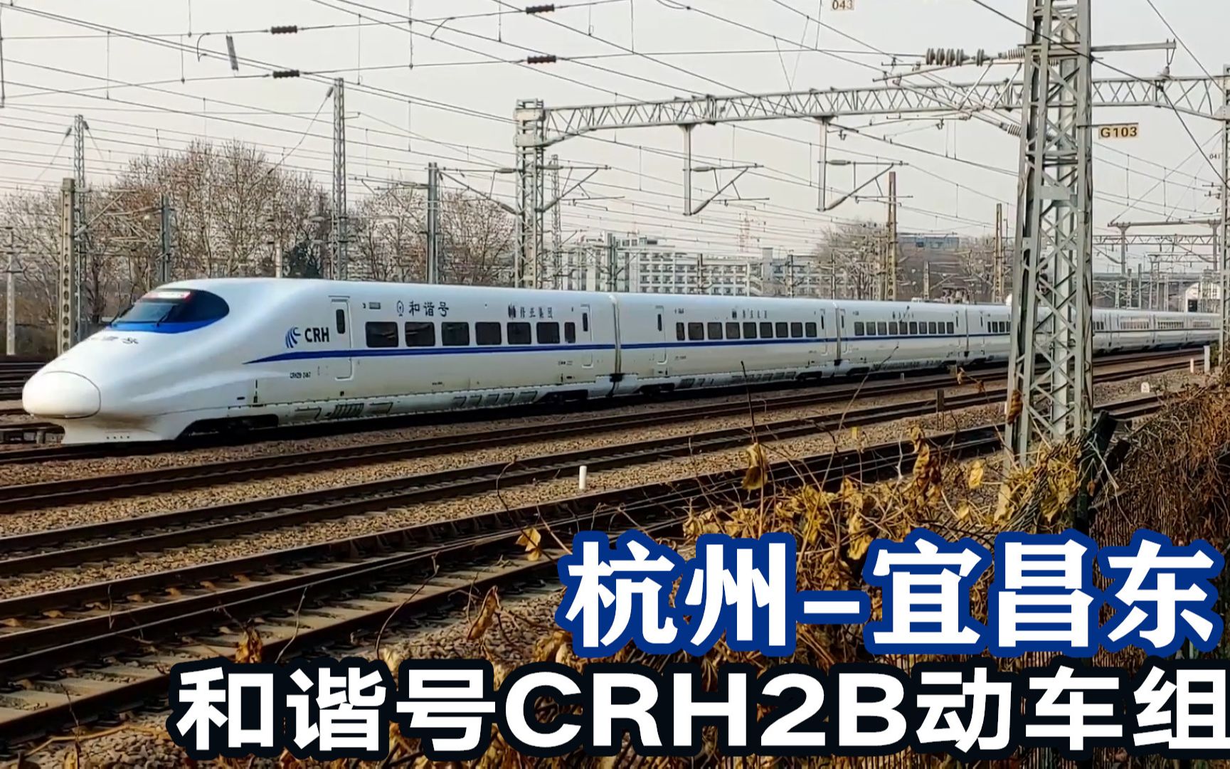 16节长编组的和谐号2b动车,杭州至宜昌东d2188次通过艮山门