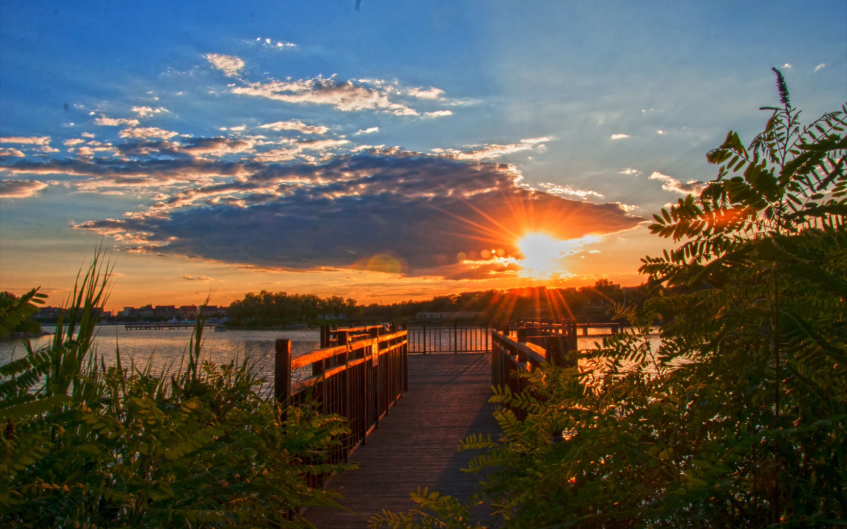 夏日里的南湖公园