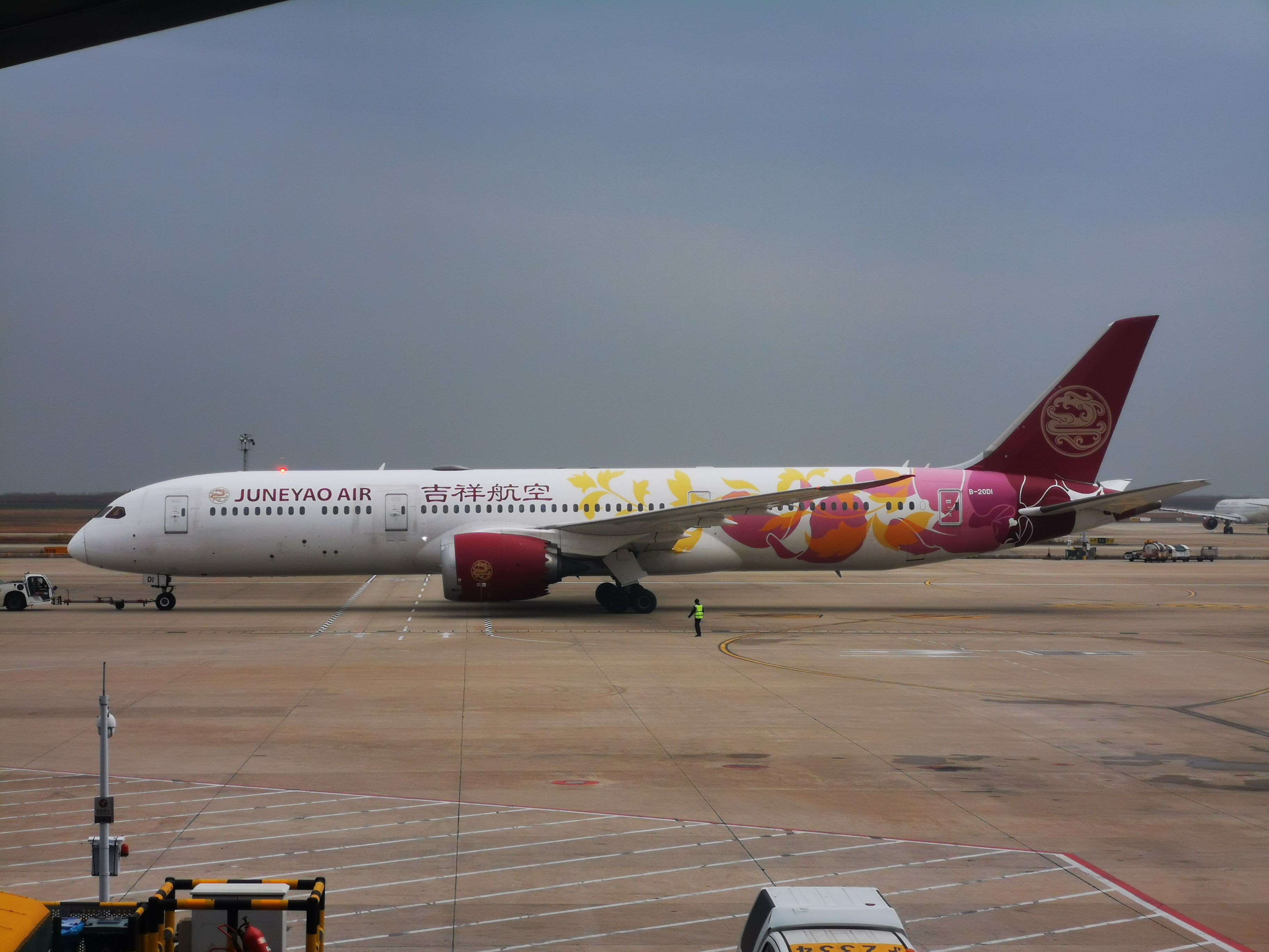 12.10 浦东机场 吉祥航空b787-9 b-20d1机 推出 拖去检修的全程