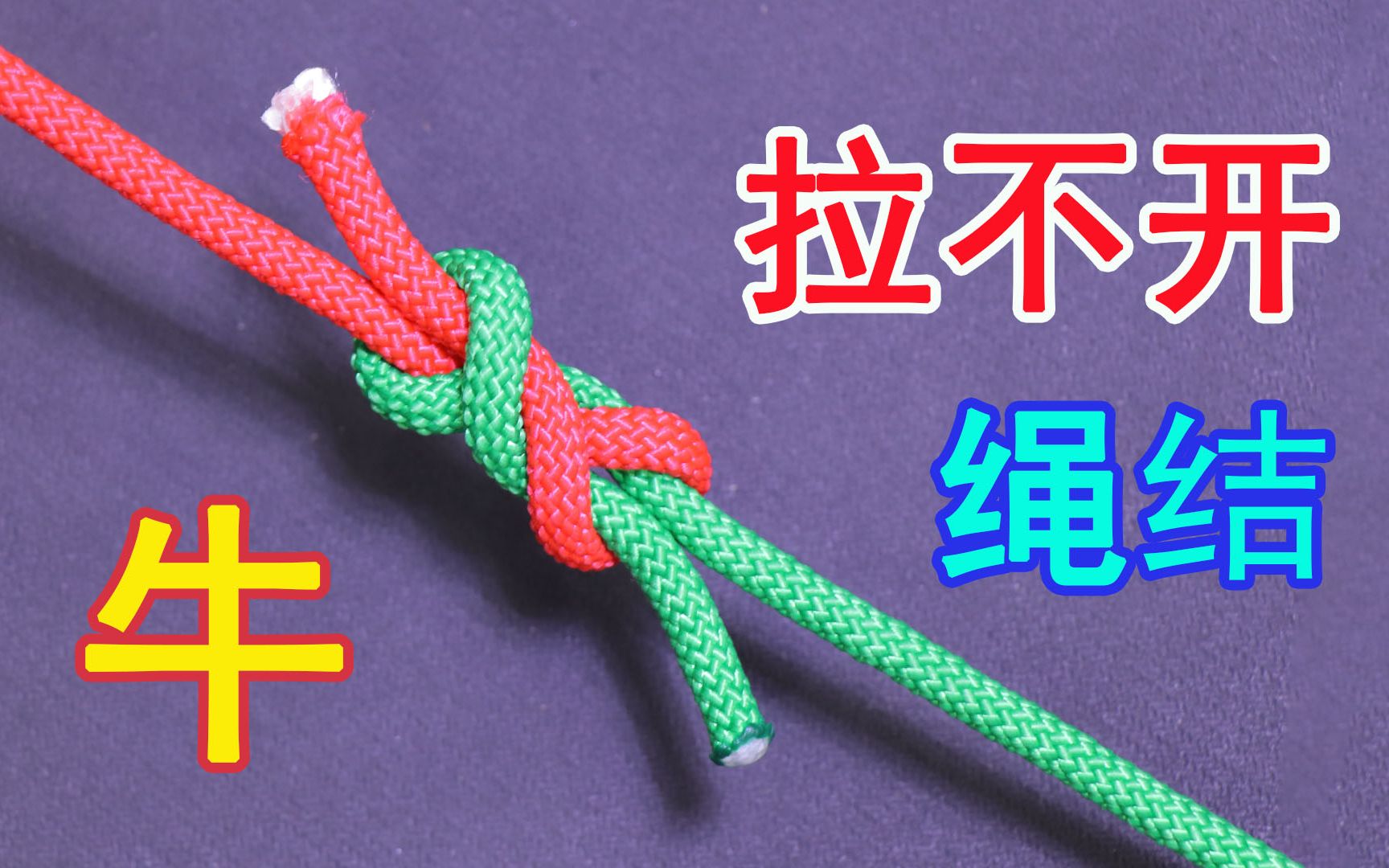 生活中最简单却很牢固的对接绳结你会吗?看完不后悔