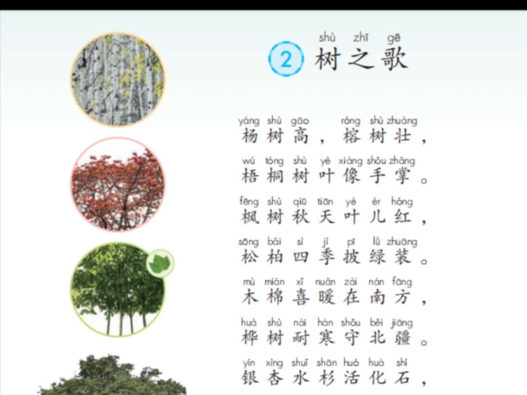 识字2《树之歌》部编版小学语文二年级上册课文朗读#每天学习一点点