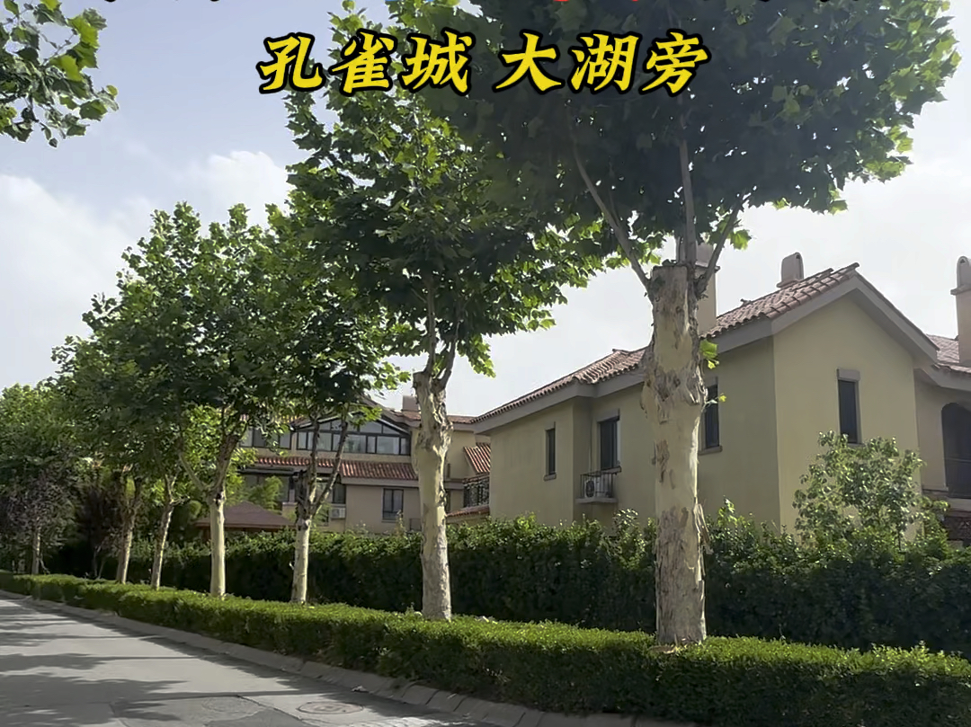 平墅 是什么.为什么便宜死啦!