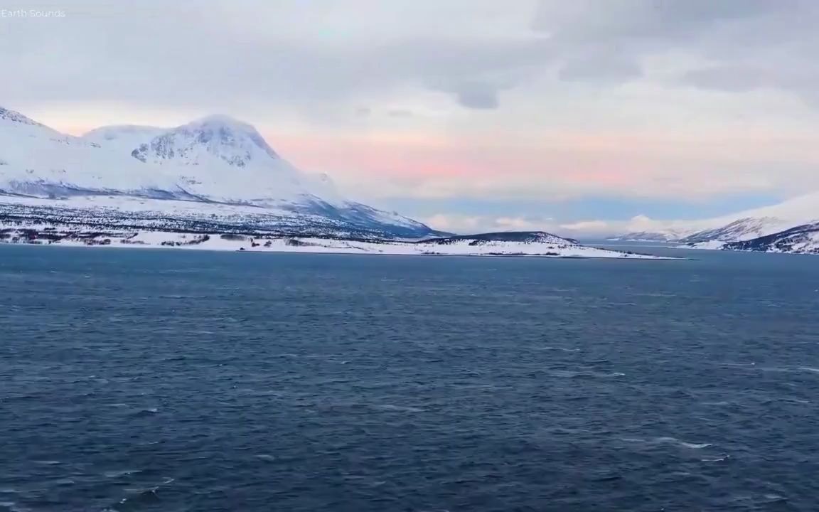 【杨晓钰教授】初二单元整体备课在线教师培训