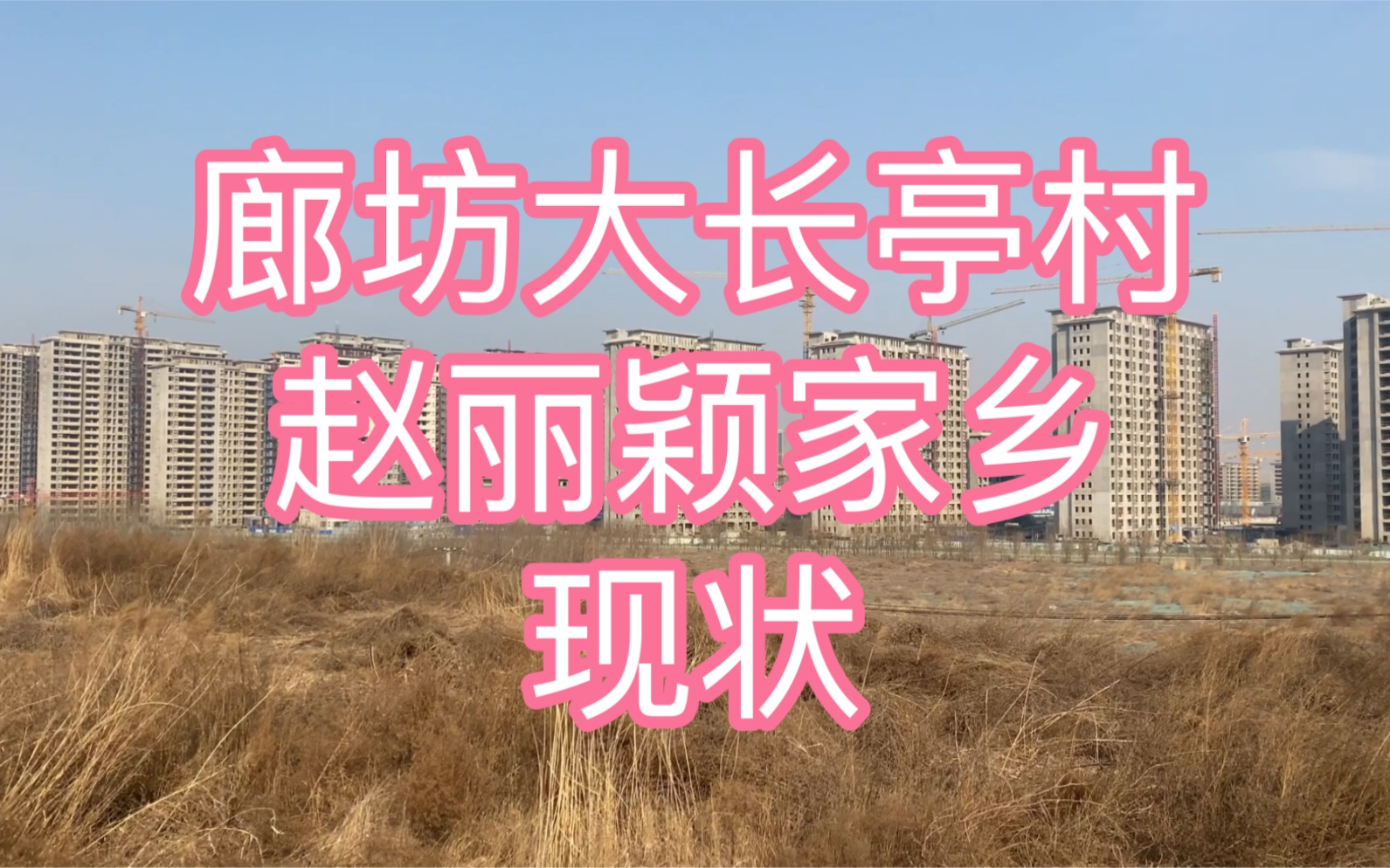 廊坊大长亭村 赵丽颖家乡现状 曾经的村子建成了楼盘 往后怎么发展啊