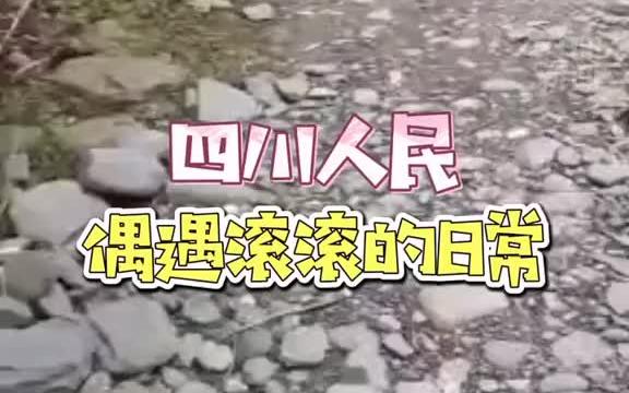 [图]"过来耍!"村民偶遇野生大熊猫散步，熊猫停下来应答表情太可爱了