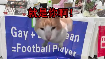 Download Video: 【猫meme】传说中跑路的冷圈老师竟是我自己