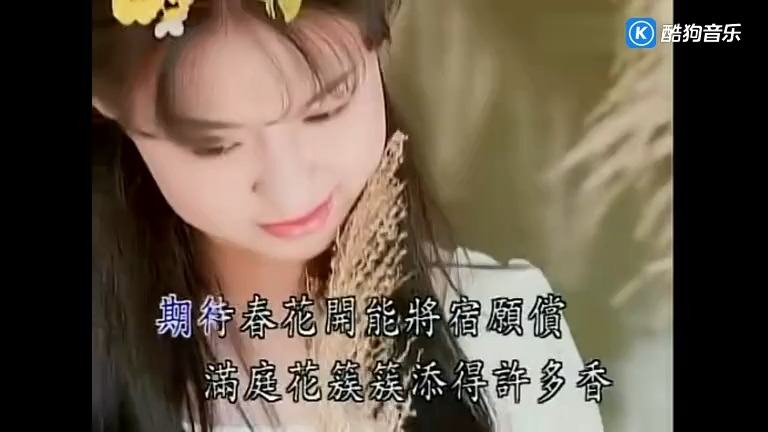 卓依婷  兰花草(KTV版)哔哩哔哩bilibili