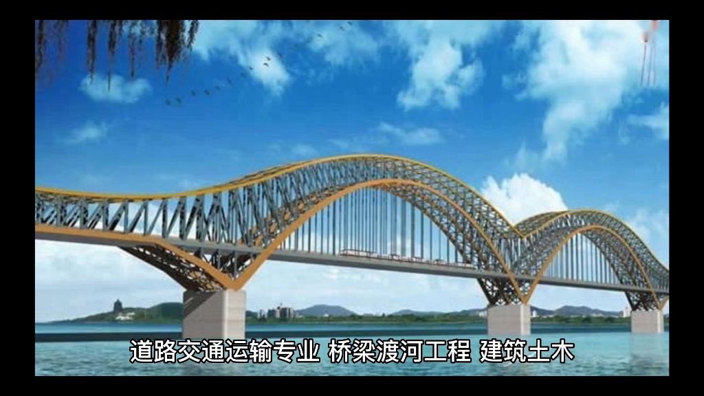 长安大学被黑的最惨的