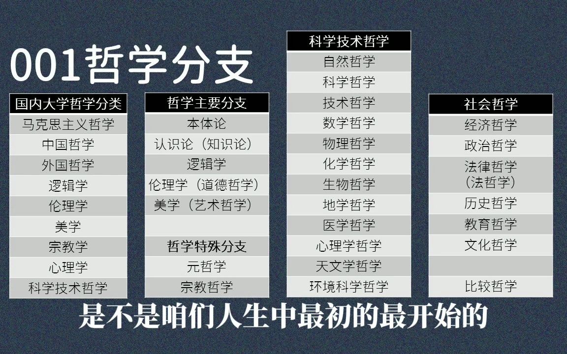 001哲学分支:本体论、认识论、逻辑学、伦理学、美学、元哲学、科学哲学、社会哲学哔哩哔哩bilibili