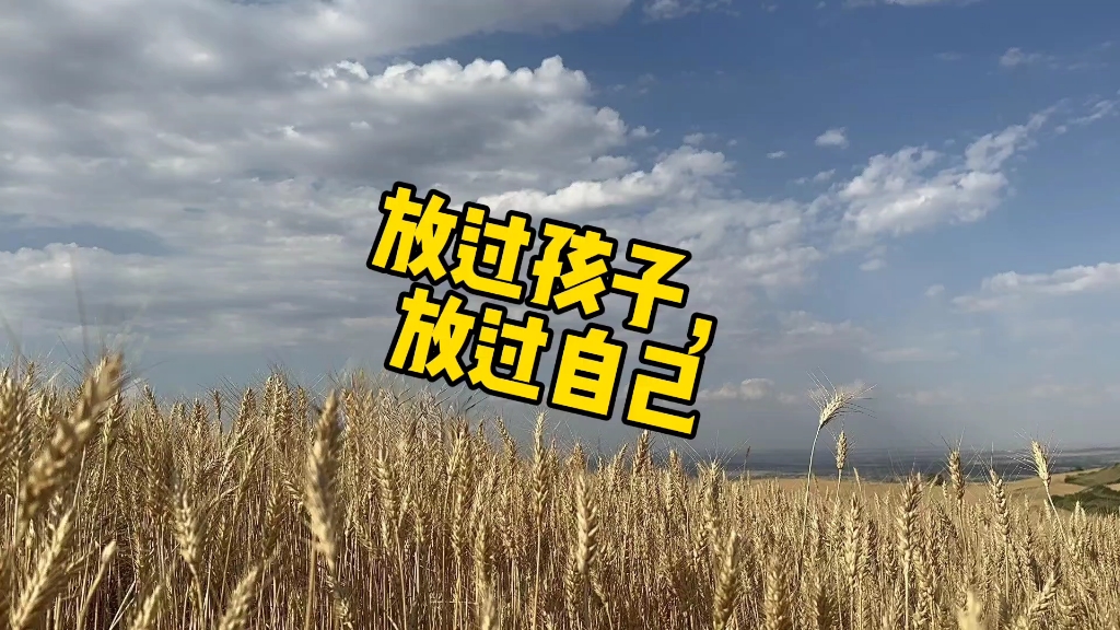 放过孩子就是放过自己