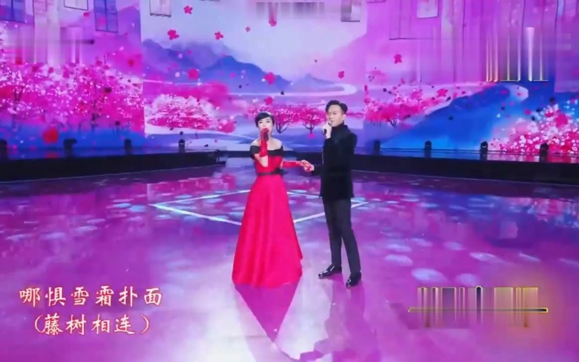 《铁血丹心》米雪 张智霖演唱哔哩哔哩bilibili