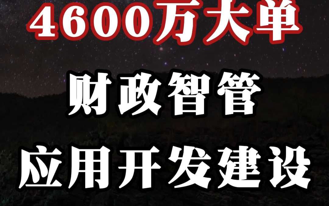 4600 万大单、财政智管应用开发建设哔哩哔哩bilibili