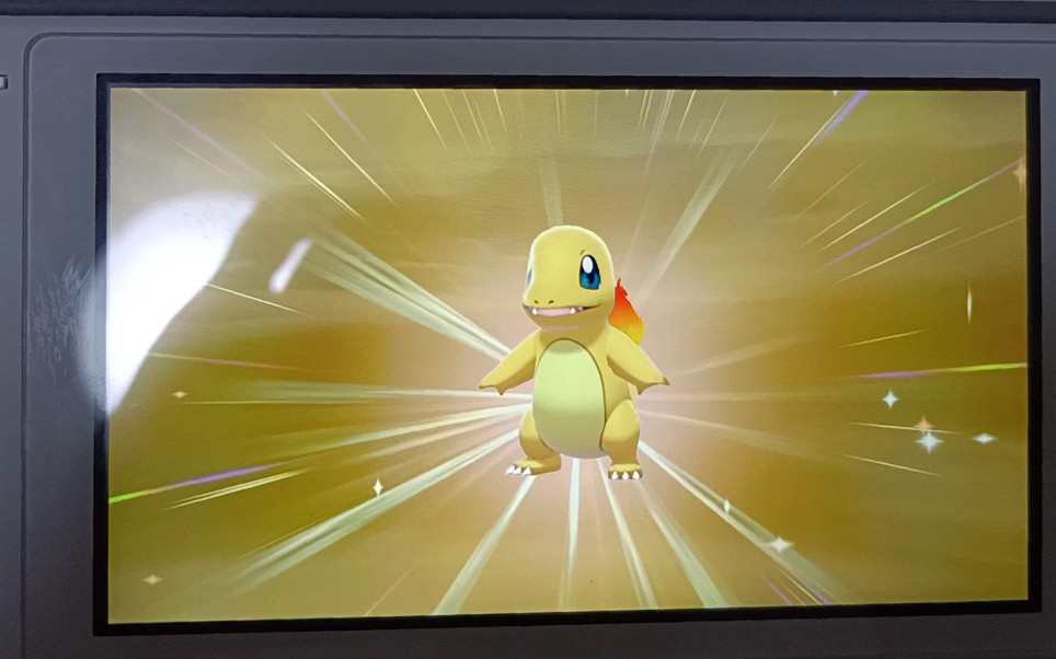 一箱半蛋闪光小火龙本人已看傻