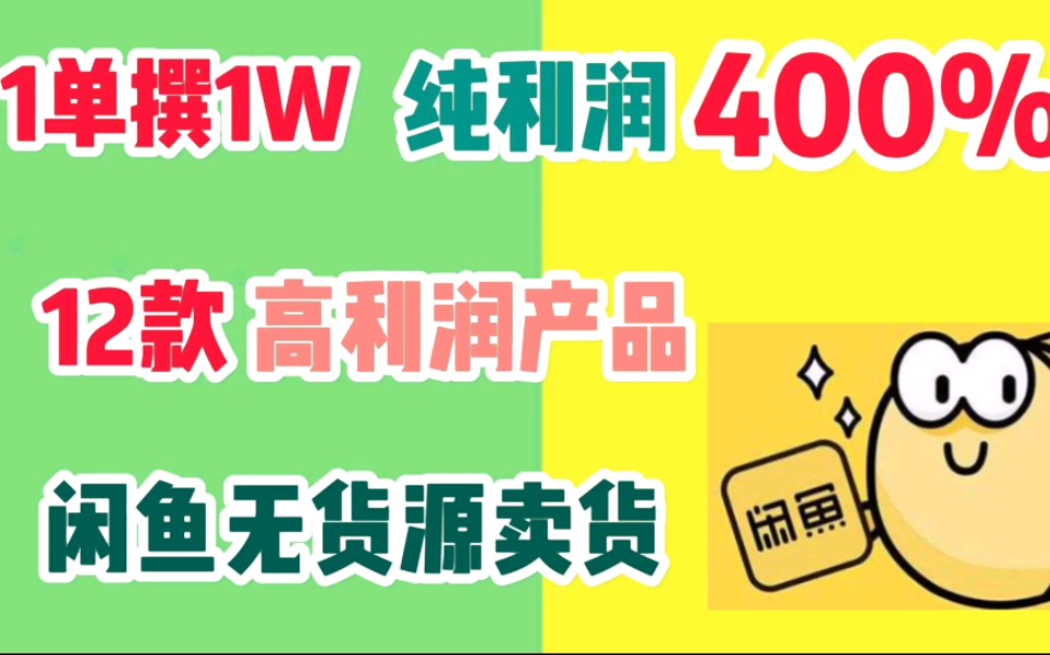 闲鱼卖货12款高利润产品,一单纯利润1w哔哩哔哩bilibili