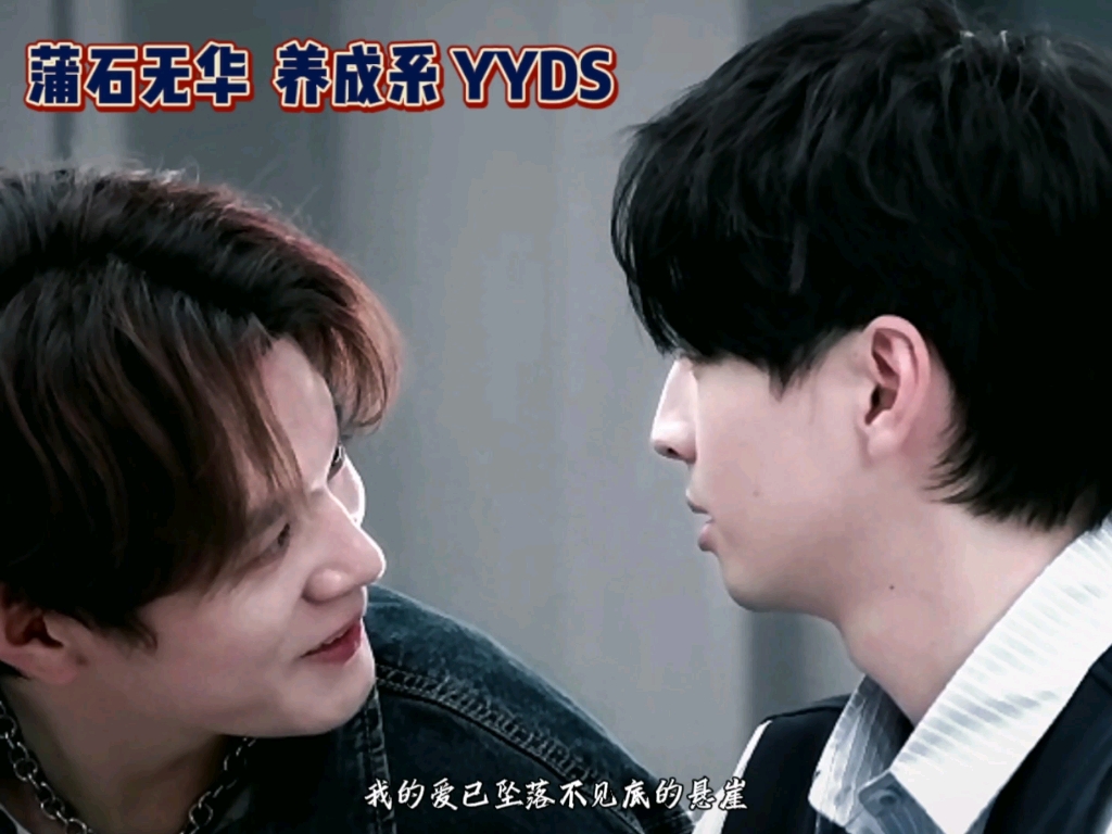 (蒲石无华/猫狗友情我超爱) 找了一晚上的素材,通宵淦出来的视频,为了