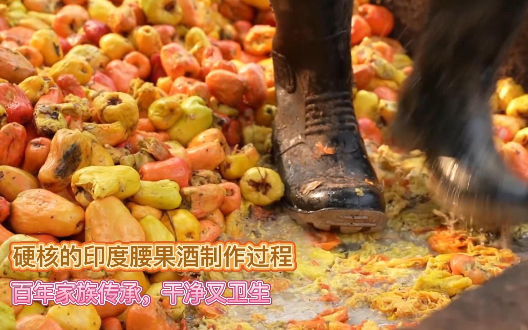 硬核的印度腰果果酒制作百年的家族传承干净又卫生