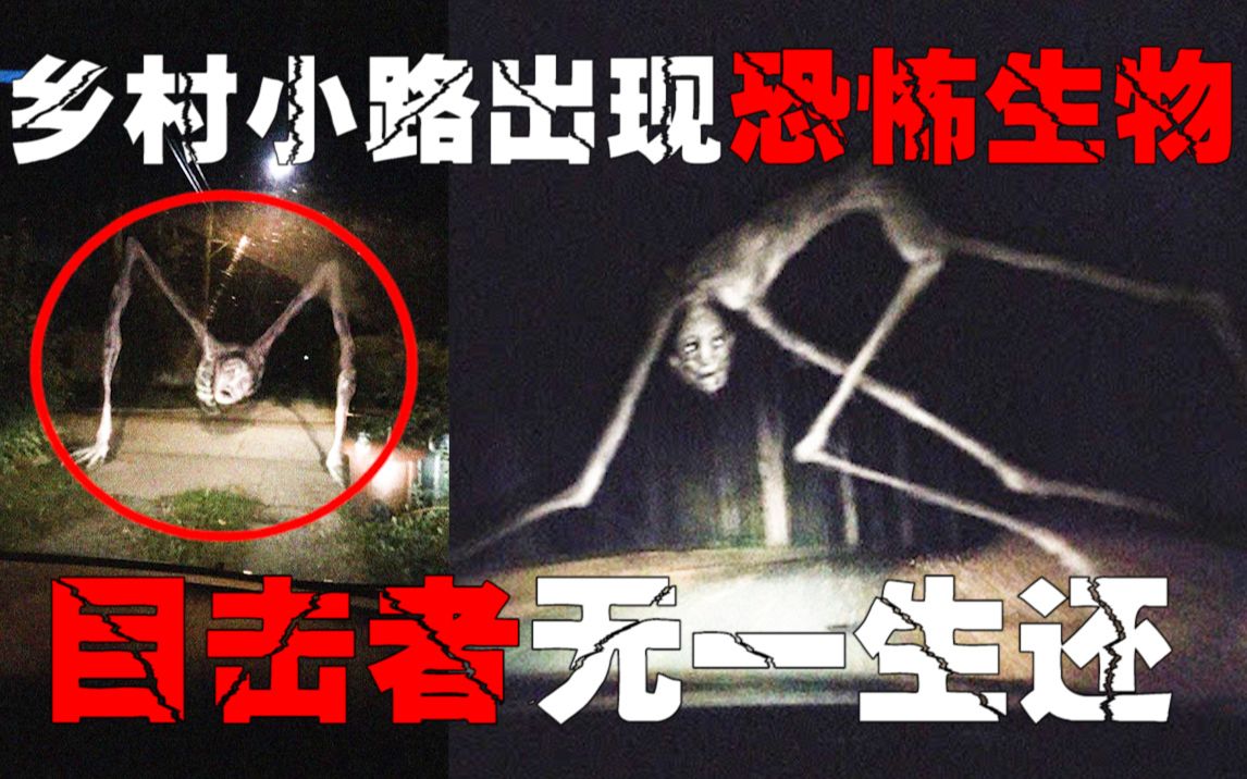 【恐怖瘦长生物】千万不要遇到!你跑的过它吗?加拿大乡村出现神秘生物困扰许多人!多人目击哔哩哔哩bilibili