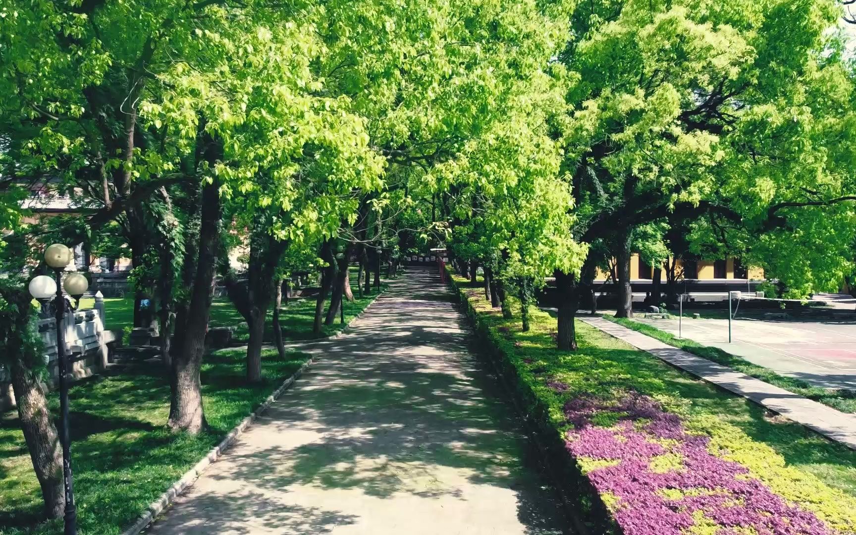 航拍素材 春天王城林荫道 草坪 中轴线_哔哩哔哩_bilibili