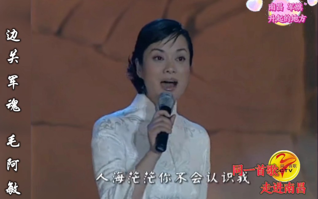 边关军魂 毛阿敏《同一首歌走进南昌》演唱