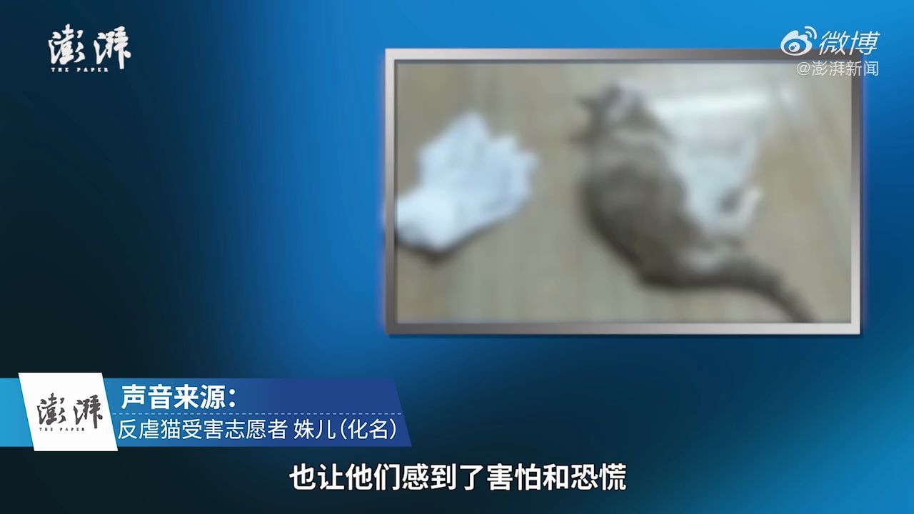 [图]多名反虐猫志愿者遭人肉 被寄祭祀品，曾曝范源庆虐猫事件