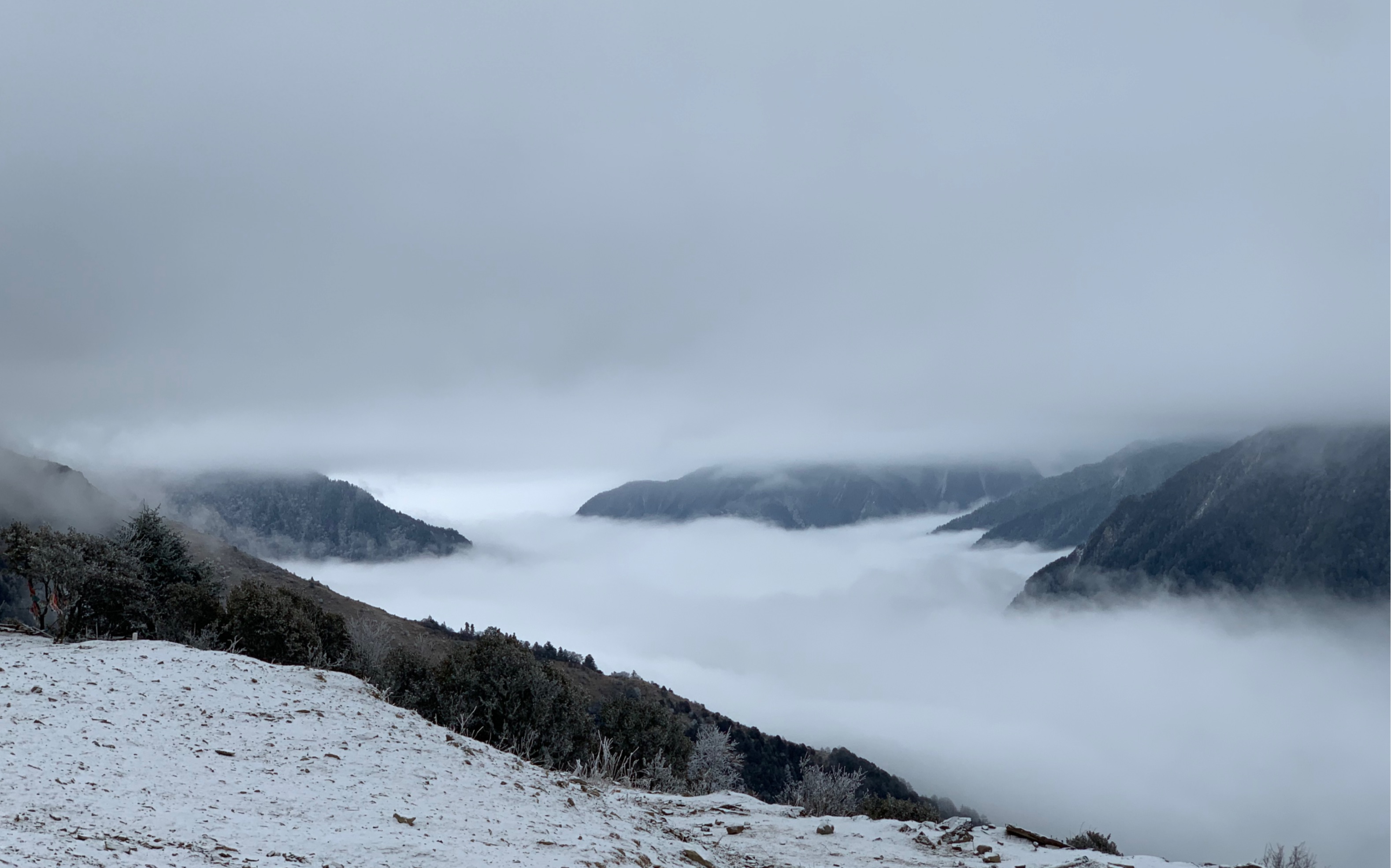 巴朗山贝母坪下山