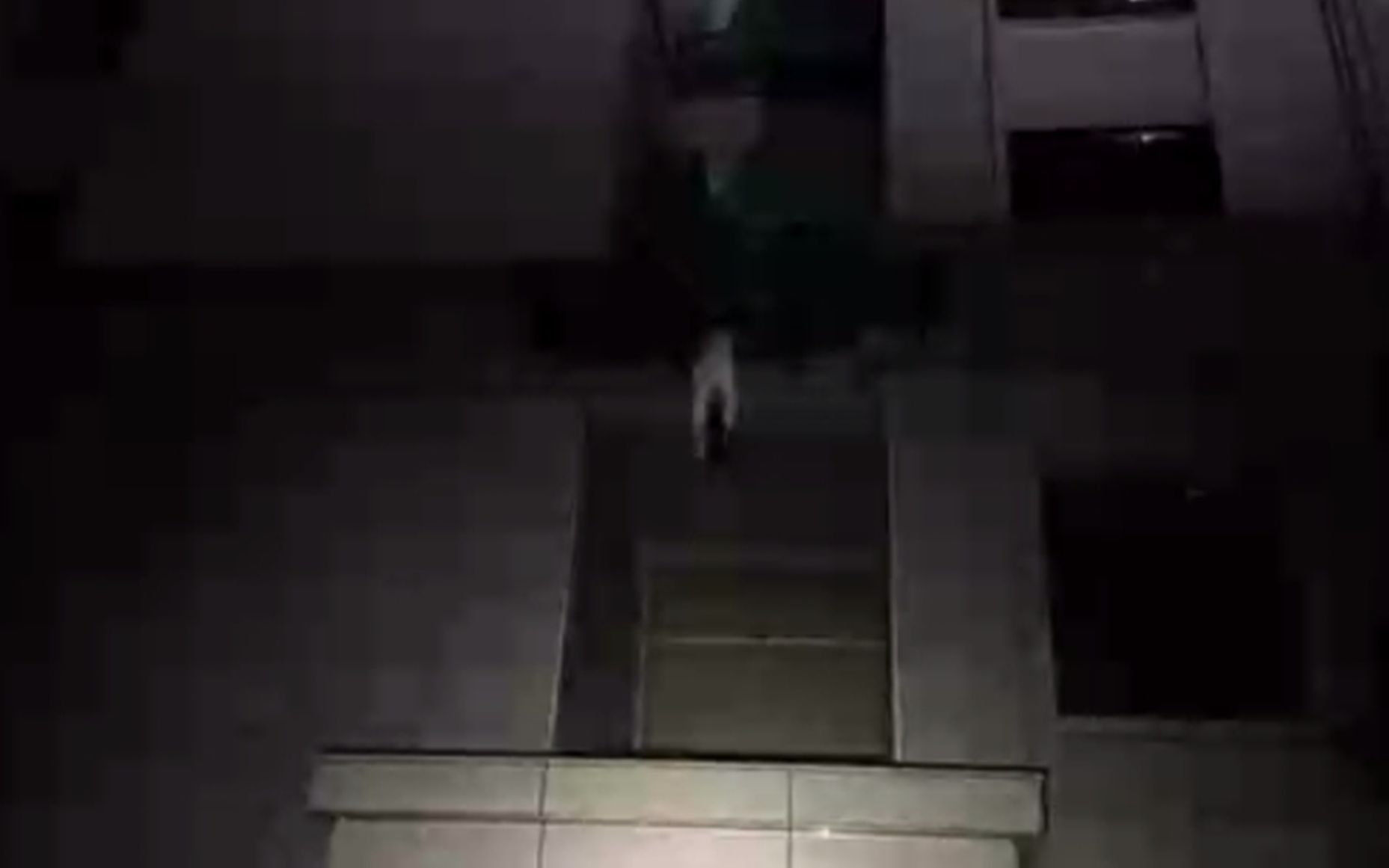 女孩深夜想去约会不敢走正门,从窗户爬出不慎踩空,从9楼坠下身亡