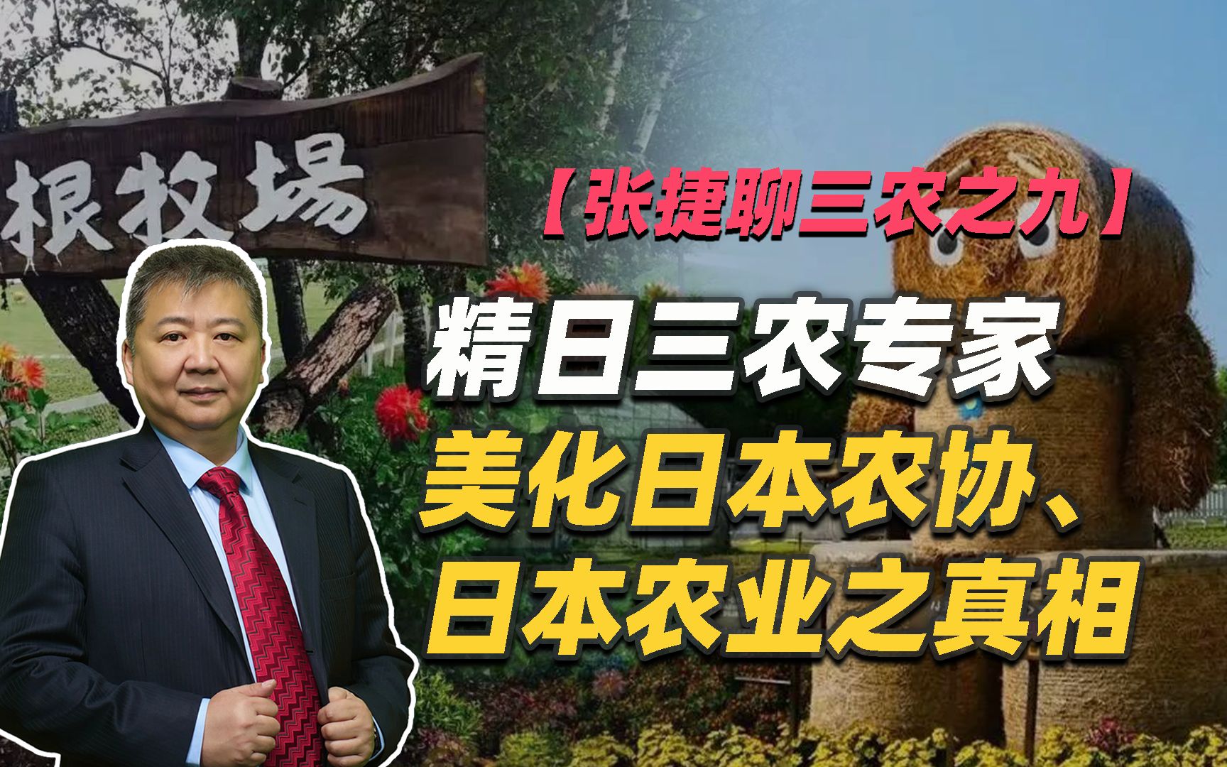 【张捷聊三农之九】精日三农专家美化日本农协、日本农业之真相哔哩哔哩bilibili