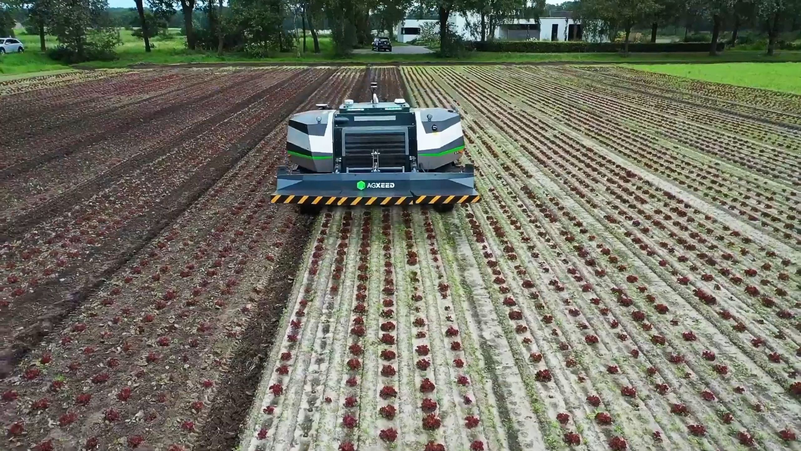 荷兰机器人播种除草