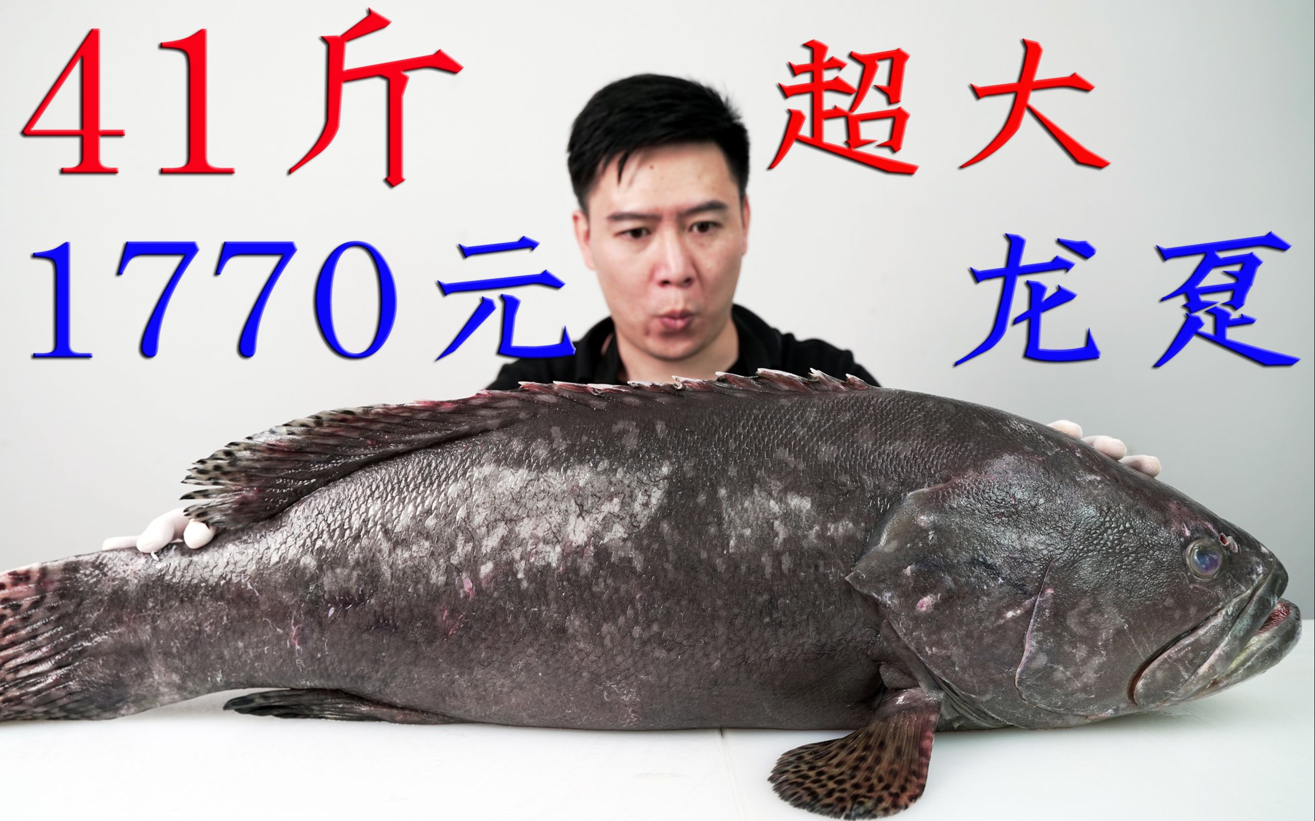1770买一条41斤超大龙趸石斑鱼,搭配超赞的做法,又赚大了