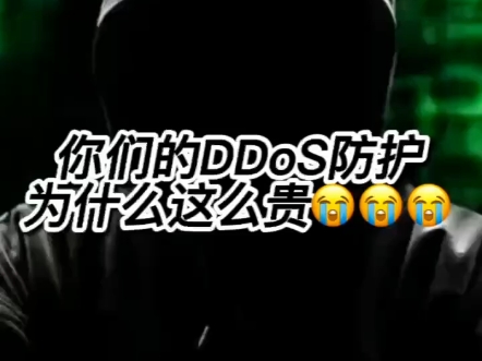 你们的DDoS防护为什么这么贵!!!哔哩哔哩bilibili