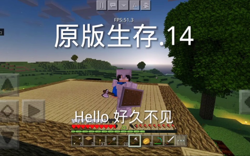 (我的世界)原版生存.14